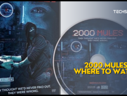 2000 Mules: Where to Watch