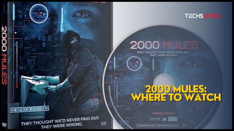 2000 Mules: Where to Watch