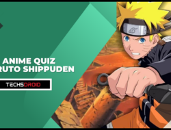 Anime Quiz Naruto Shippuden