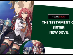 The Testament of Sister New Devil